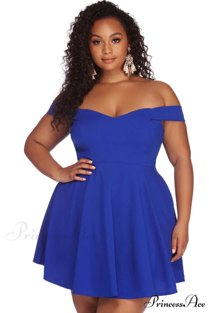 Plus Charming Stylish Sweetheart Skater Dress