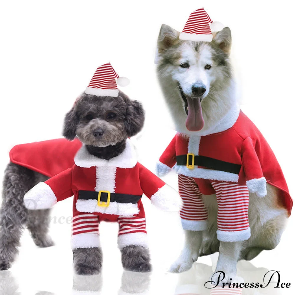 Christmas Dog's Funny Clothes & Sweater